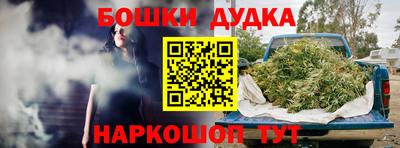 сатива Новодвинск