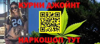 сатива Новодвинск