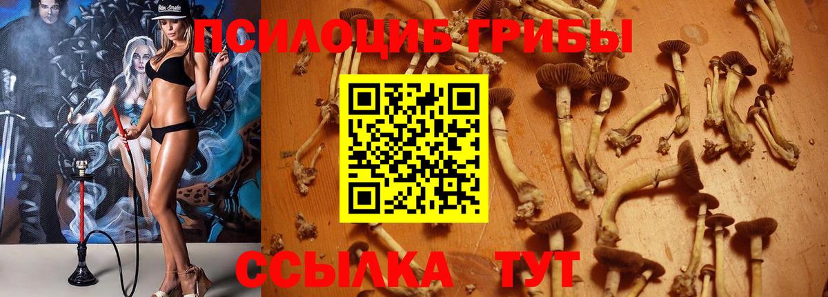 Галлюциногенные грибы MAGIC MUSHROOMS Анапа
