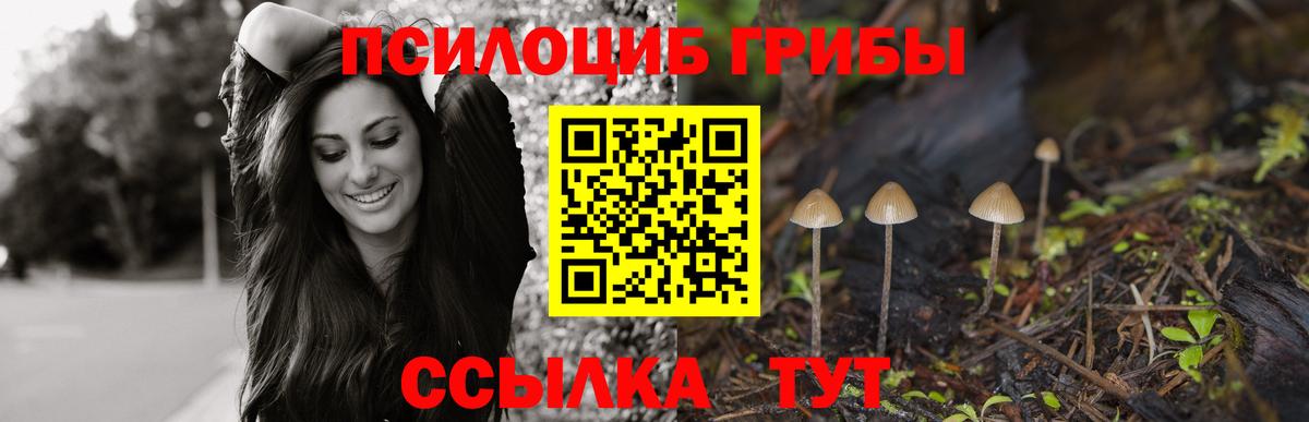 Анапа  Псилоцибиновые грибы MAGIC MUSHROOMS  Вход с VPN 